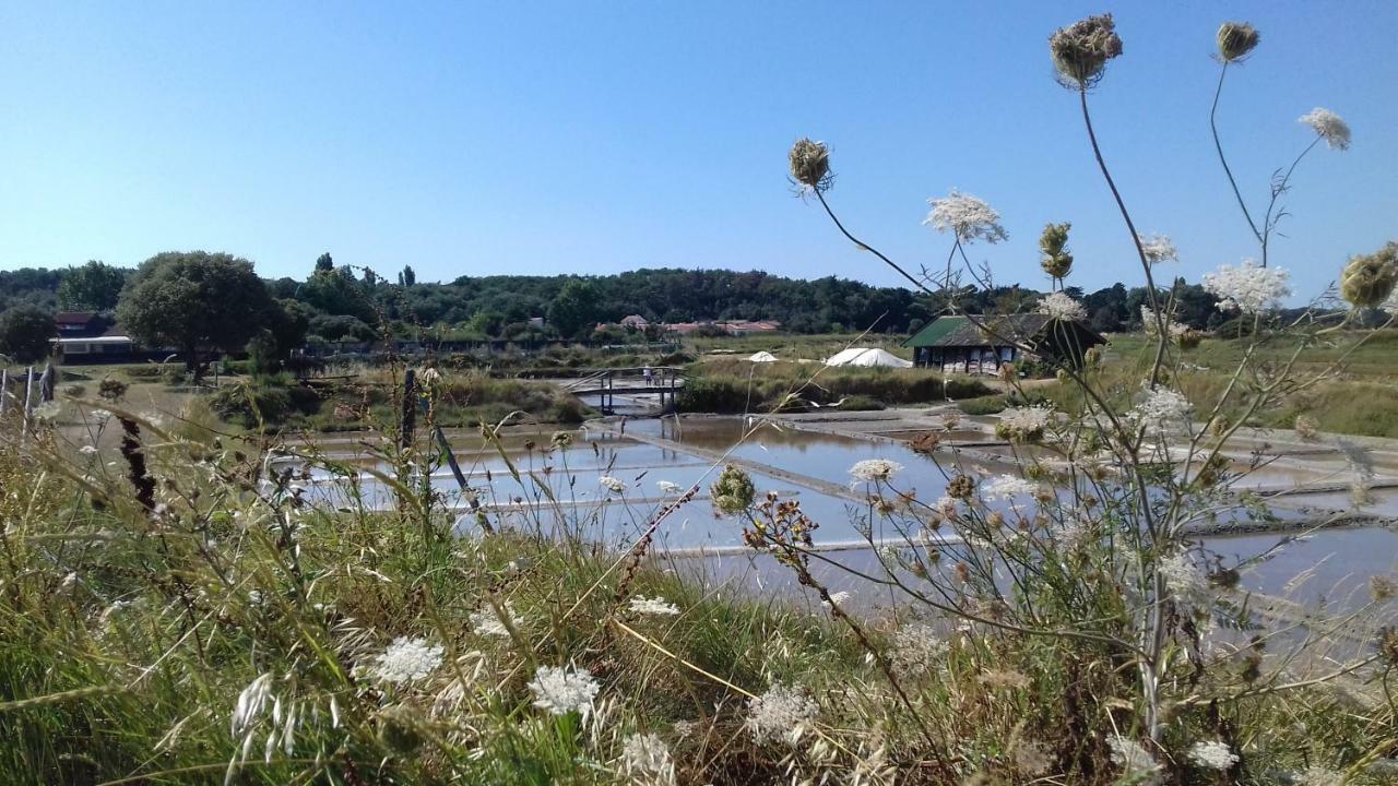 La Chaumette Villa Les Sables-d'Olonne Luaran gambar